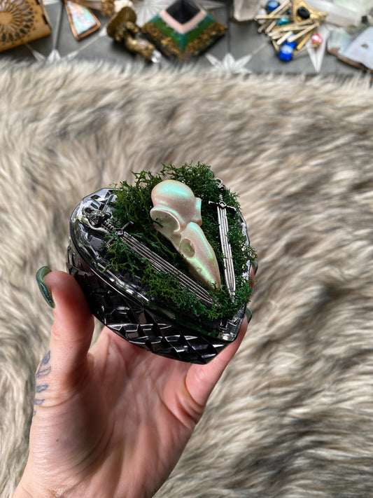 Heart box with moss