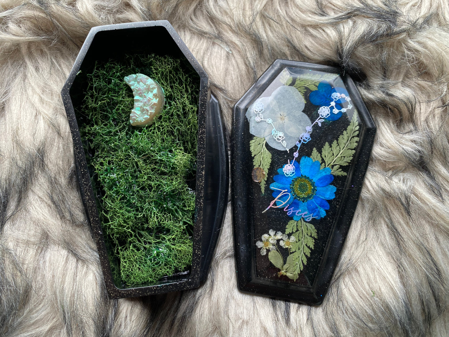 Pisces coffin box