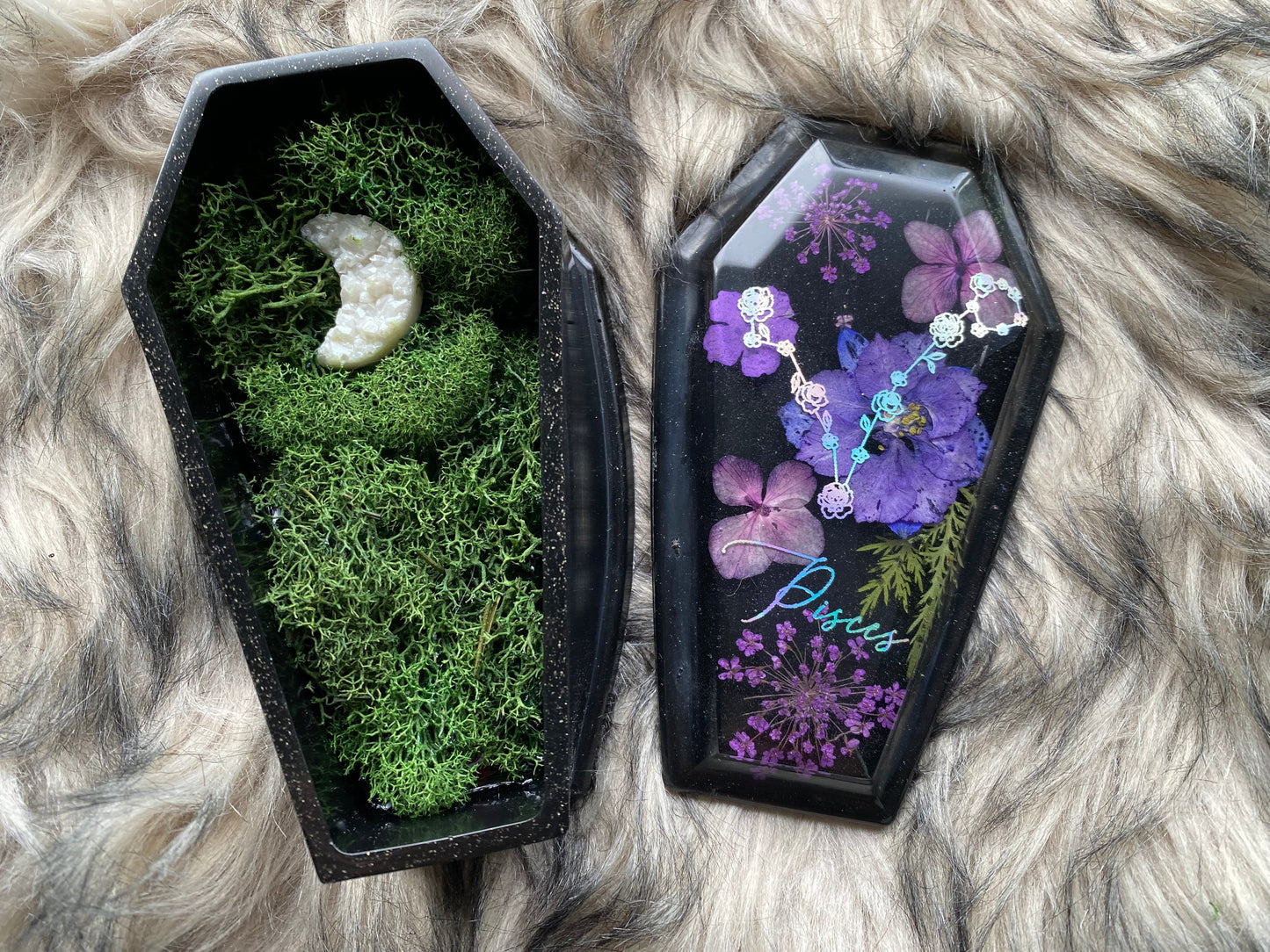 Pisces coffin box